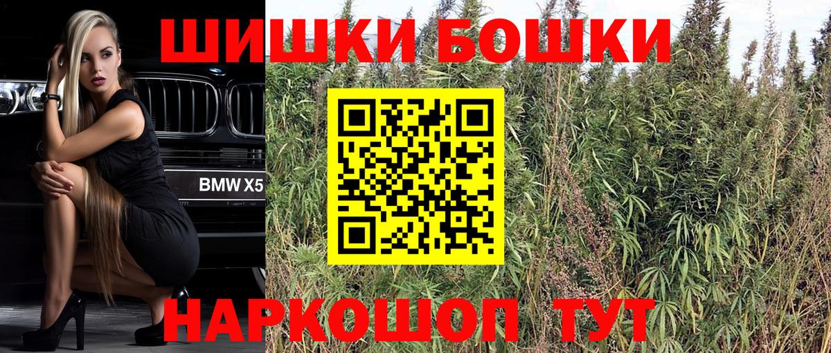 Конопля OG Kush  Вход с VPN  Конопля Bruce Banner  Канабис план  Красный Сулин 